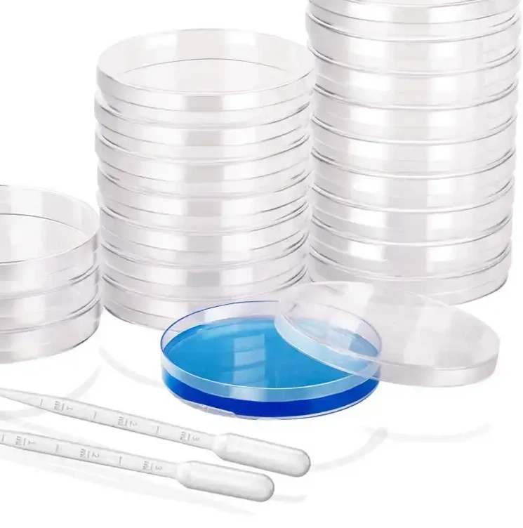 Petri dish